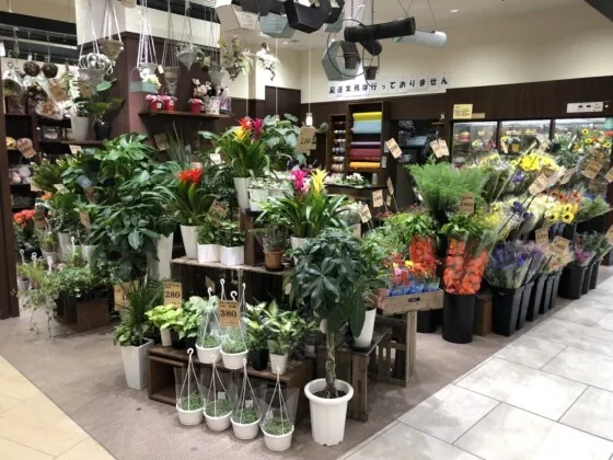 店舗イメージ画像