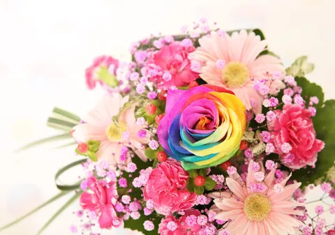 店舗イメージ画像