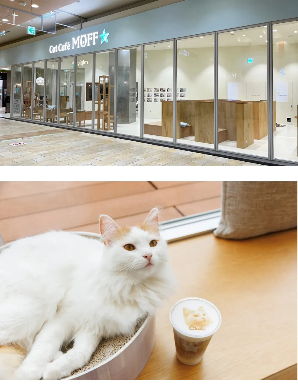 店舗イメージ画像