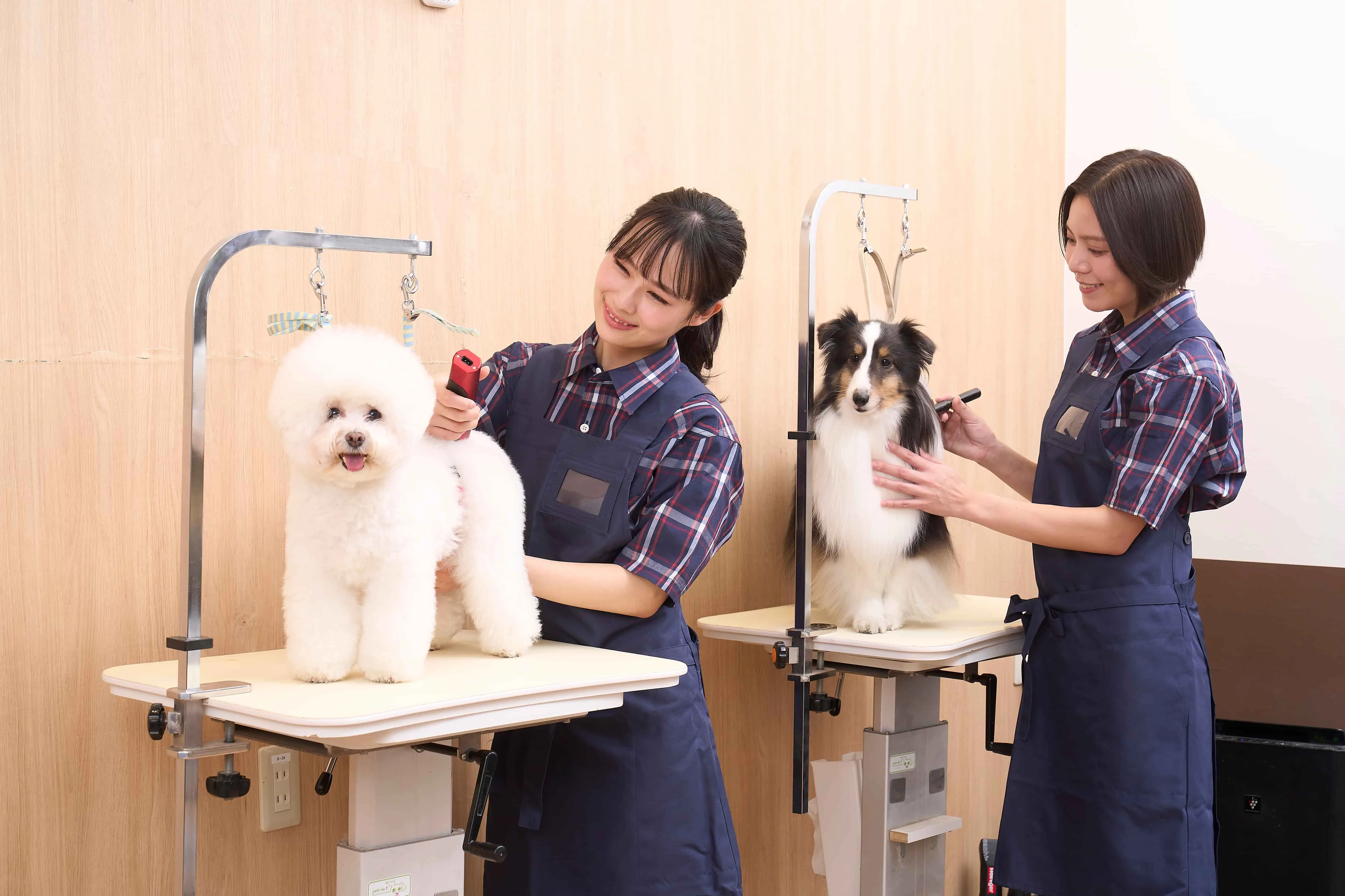 店舗イメージ画像